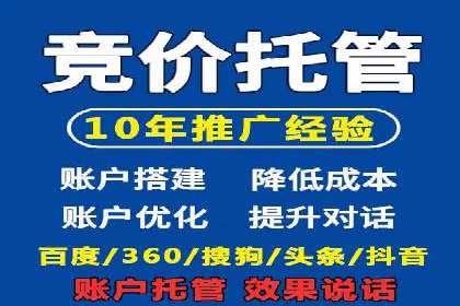 SEM搜索引擎优化：广告创意的策划与执行